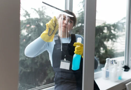 Nettoyage de vitres intérieures et extérieures à Chérancé
